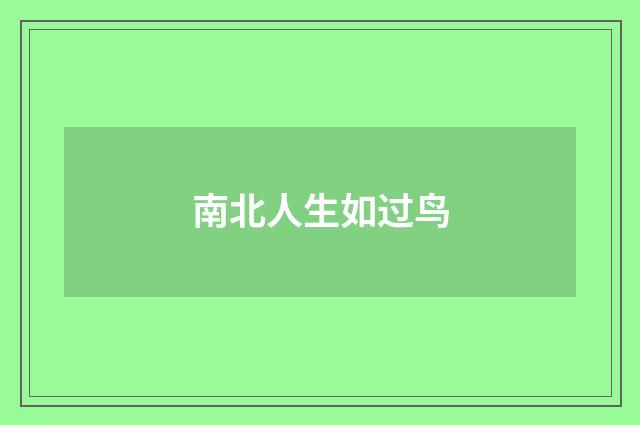 南北人生如过鸟