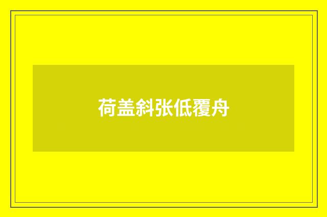 荷盖斜张低覆舟