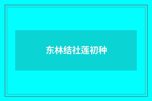 东林结社莲初种