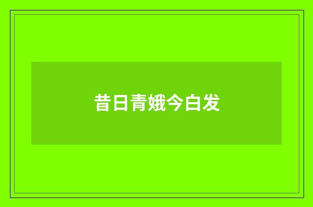 昔日青娥今白发