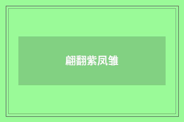 翩翻紫凤雏