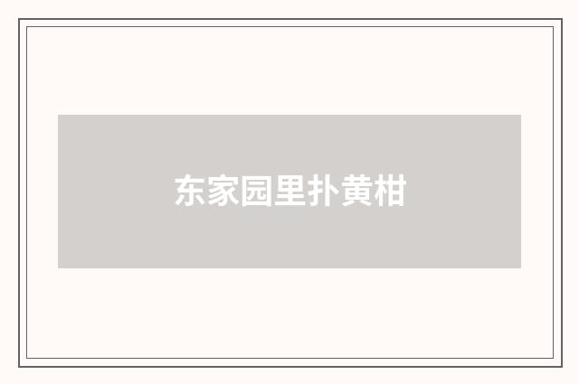 东家园里扑黄柑
