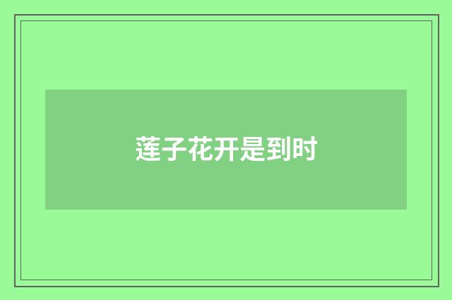 莲子花开是到时