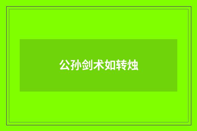 公孙剑术如转烛