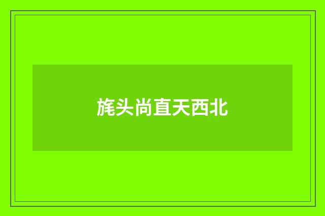 旄头尚直天西北
