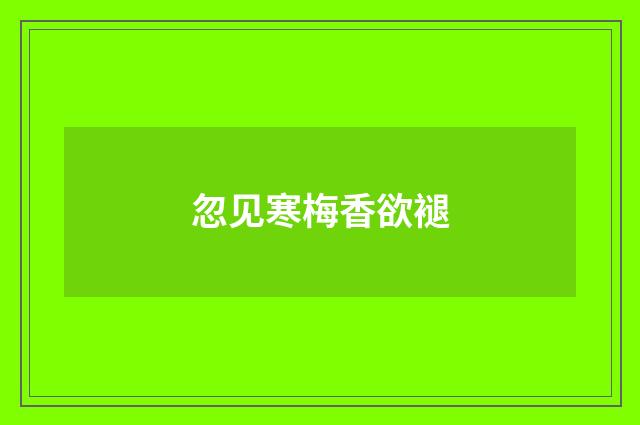 忽见寒梅香欲褪
