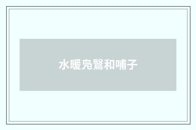 水暖凫鷖和哺子