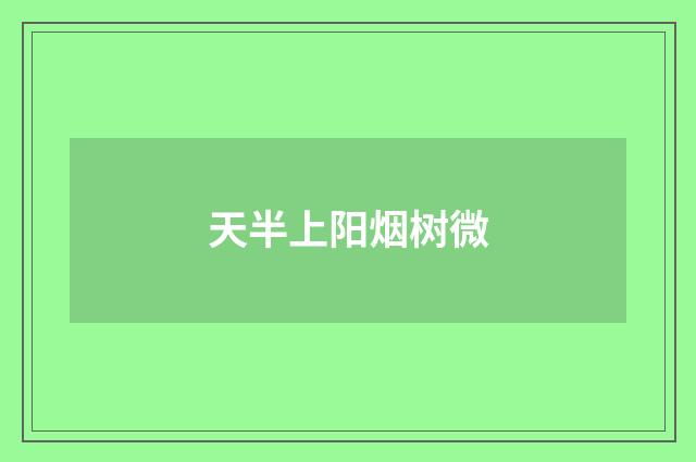 天半上阳烟树微