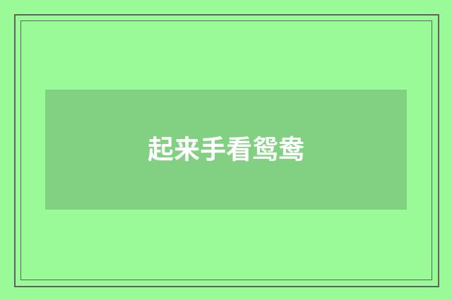 起来手看鸳鸯