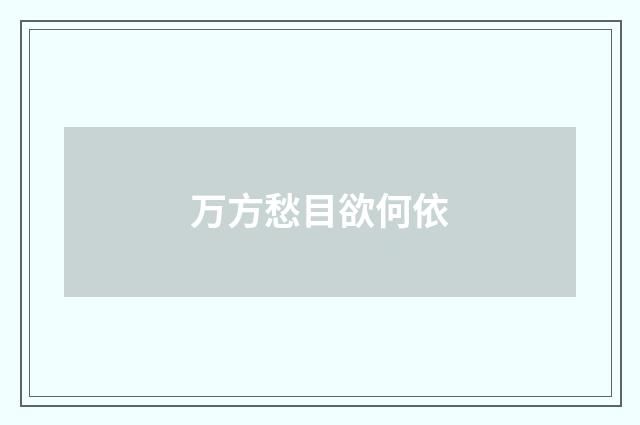 万方愁目欲何依