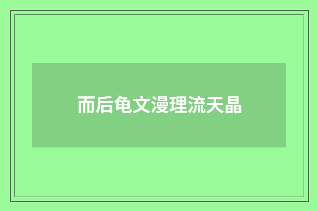 而后龟文漫理流天晶
