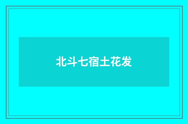 北斗七宿土花发