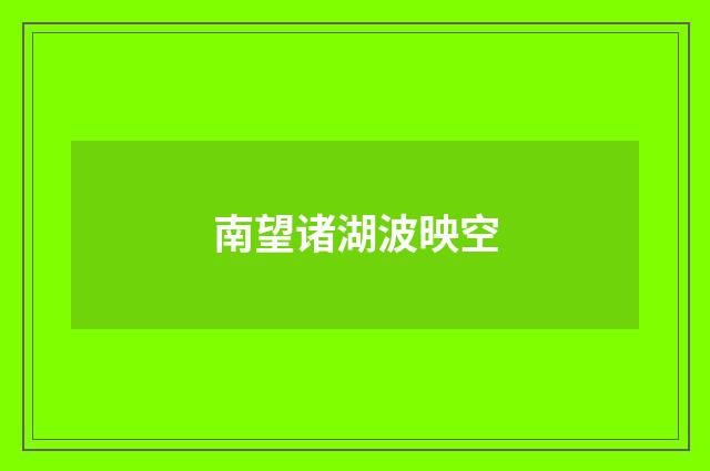 南望诸湖波映空