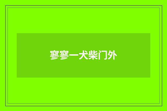 寥寥一犬柴门外