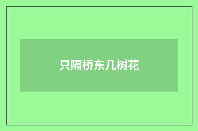 只隔桥东几树花