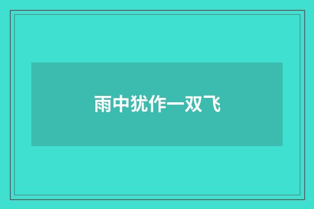 雨中犹作一双飞