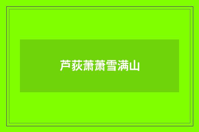 芦荻萧萧雪满山