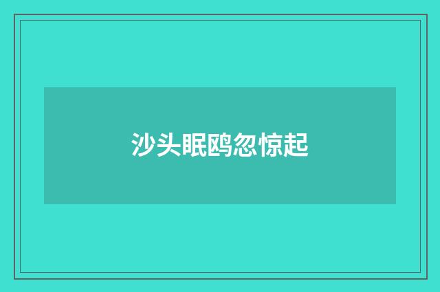 沙头眠鸥忽惊起
