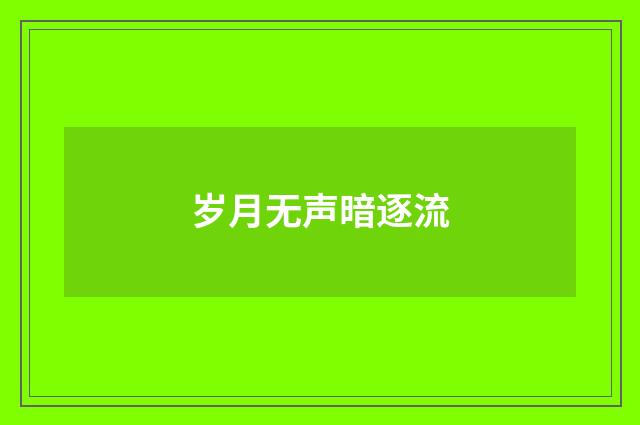 岁月无声暗逐流