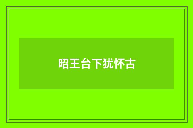 昭王台下犹怀古