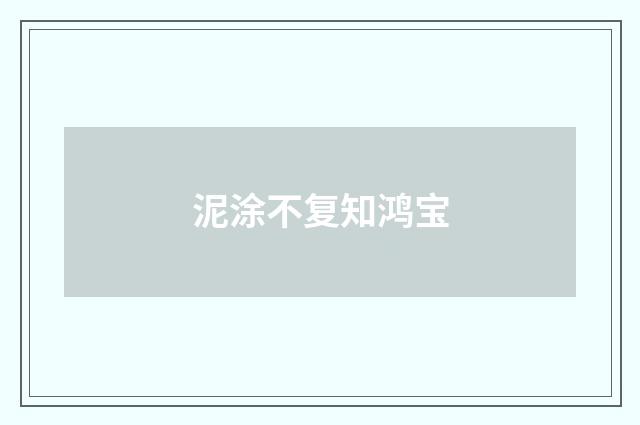 泥涂不复知鸿宝