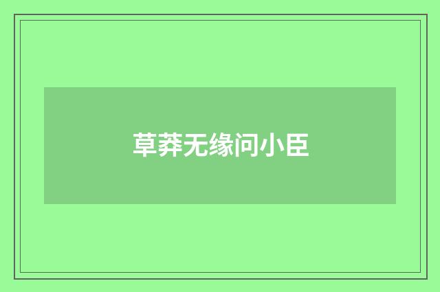 草莽无缘问小臣