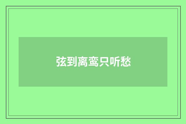 弦到离鸾只听愁