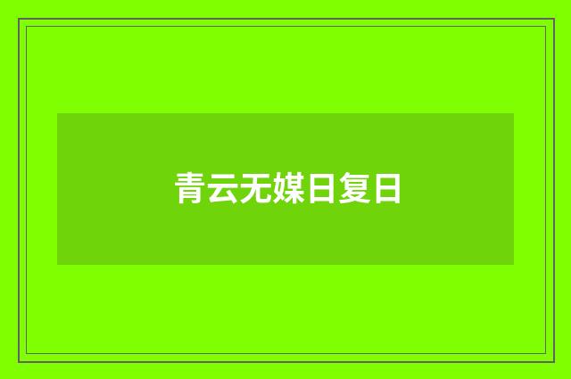 青云无媒日复日