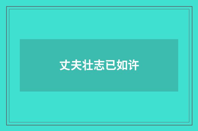 丈夫壮志已如许