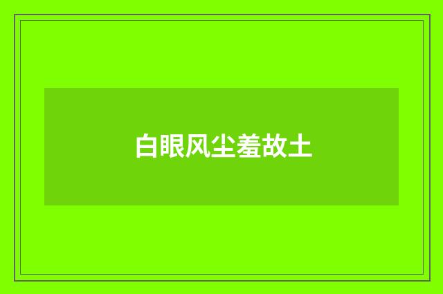 白眼风尘羞故土
