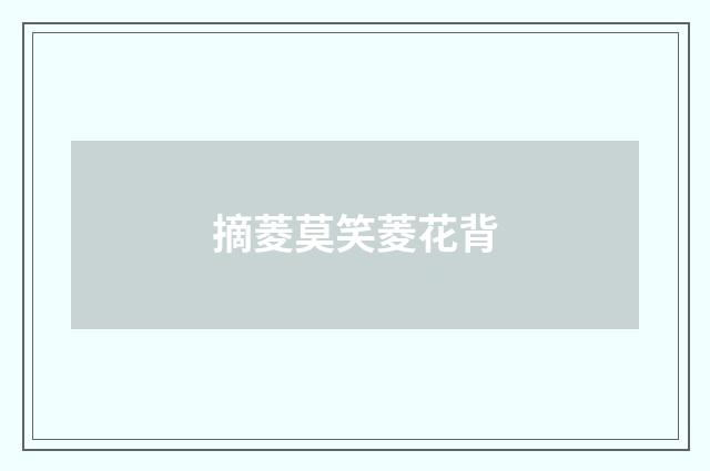 摘菱莫笑菱花背