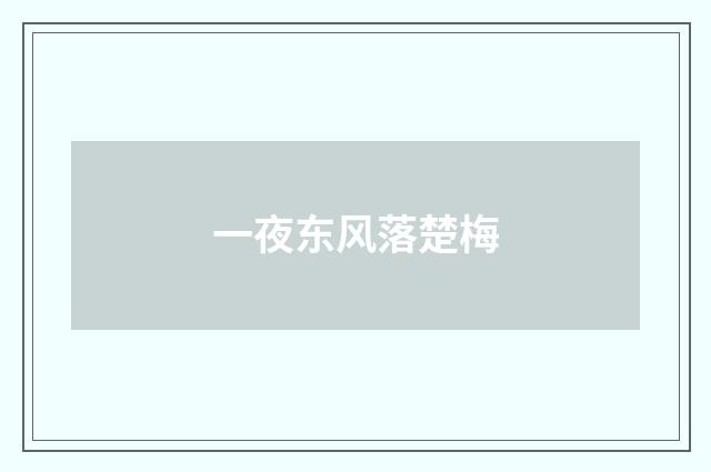 一夜东风落楚梅