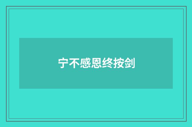 宁不感恩终按剑