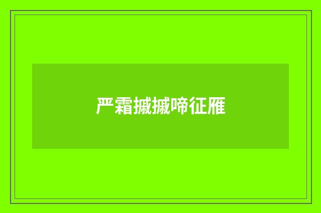 严霜摵摵啼征雁