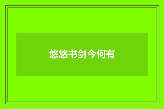 悠悠书剑今何有