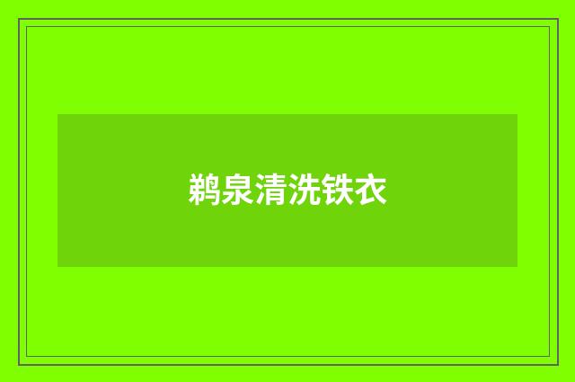 鹈泉清洗铁衣