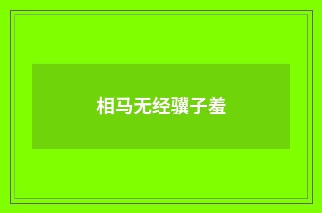 相马无经骥子羞