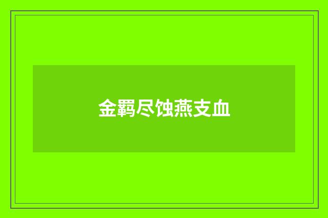 金羁尽蚀燕支血