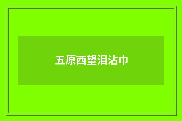 五原西望泪沾巾