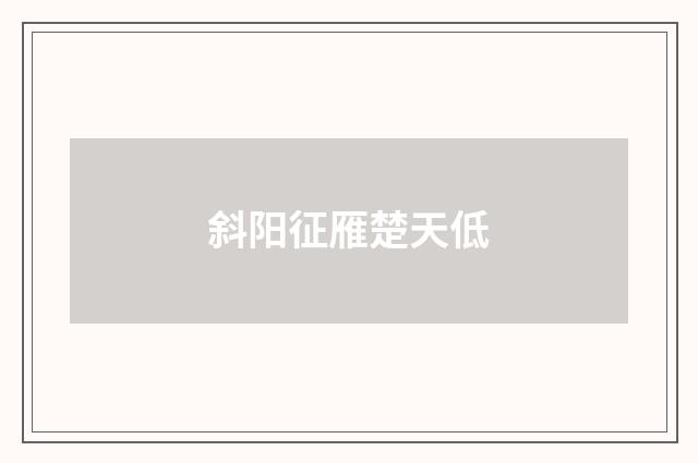 斜阳征雁楚天低