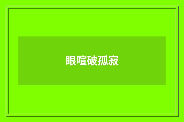 眼喧破孤寂