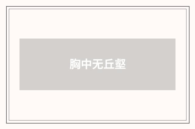 胸中无丘壑