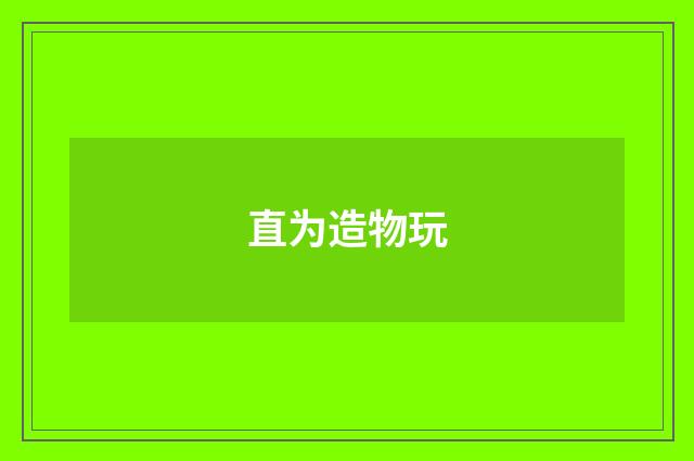 直为造物玩