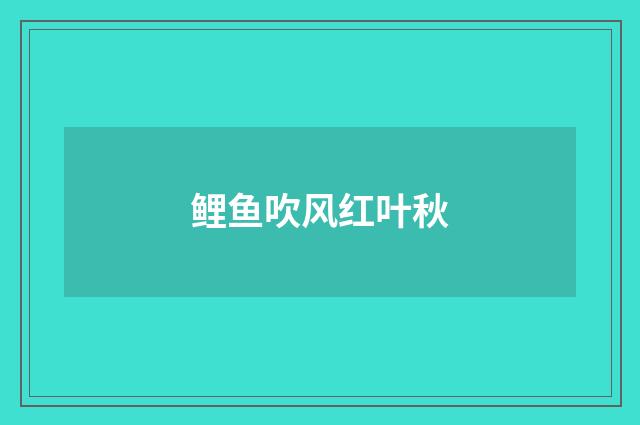 鲤鱼吹风红叶秋
