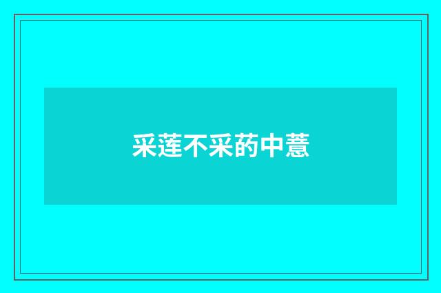 采莲不采菂中薏