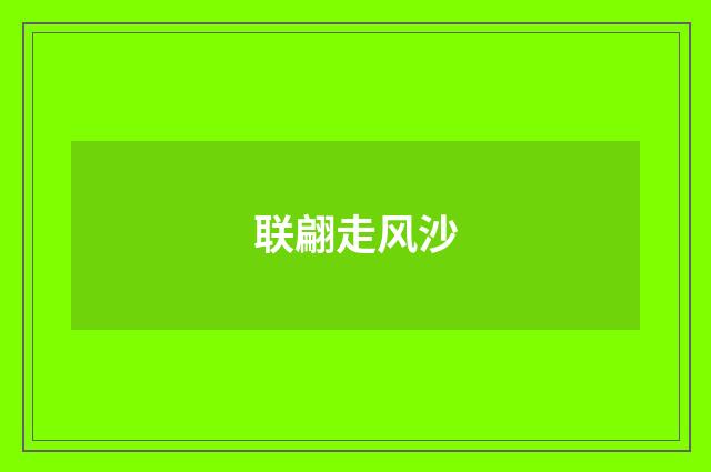 联翩走风沙