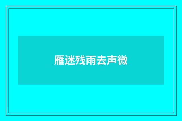 雁迷残雨去声微