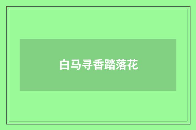 白马寻香踏落花