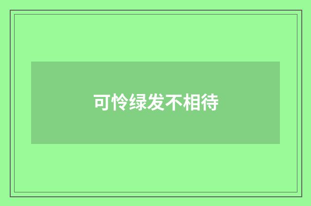 可怜绿发不相待