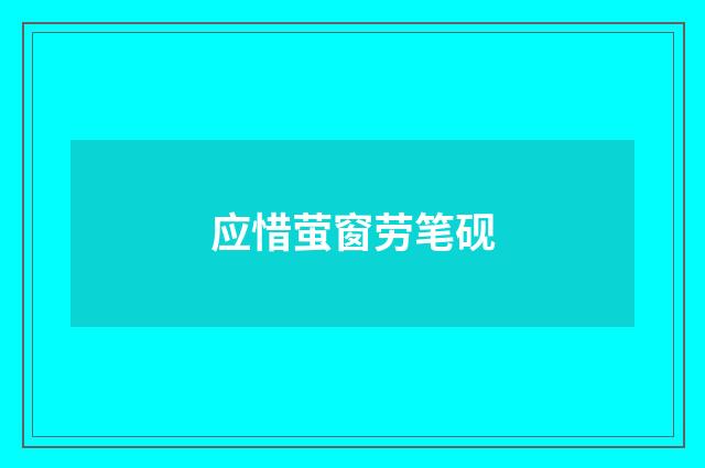 应惜萤窗劳笔砚